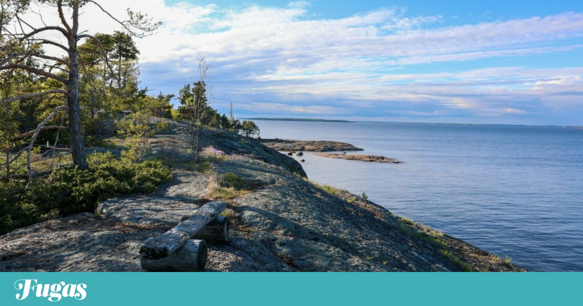 Uma ilha na Finlândia está a pedir aos turistas que larguem os telemóveis | Tecnologia Uma ilha na Finlândia está a pedir aos turistas que larguem os telemóveis | Tecnologia