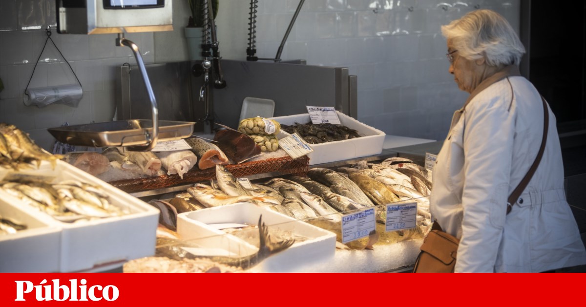 OECD inflation fell to 6.5% in May, the lowest since December 2021 | Prices OECD inflation fell to 6.5% in May, the lowest since December 2021 | Prices