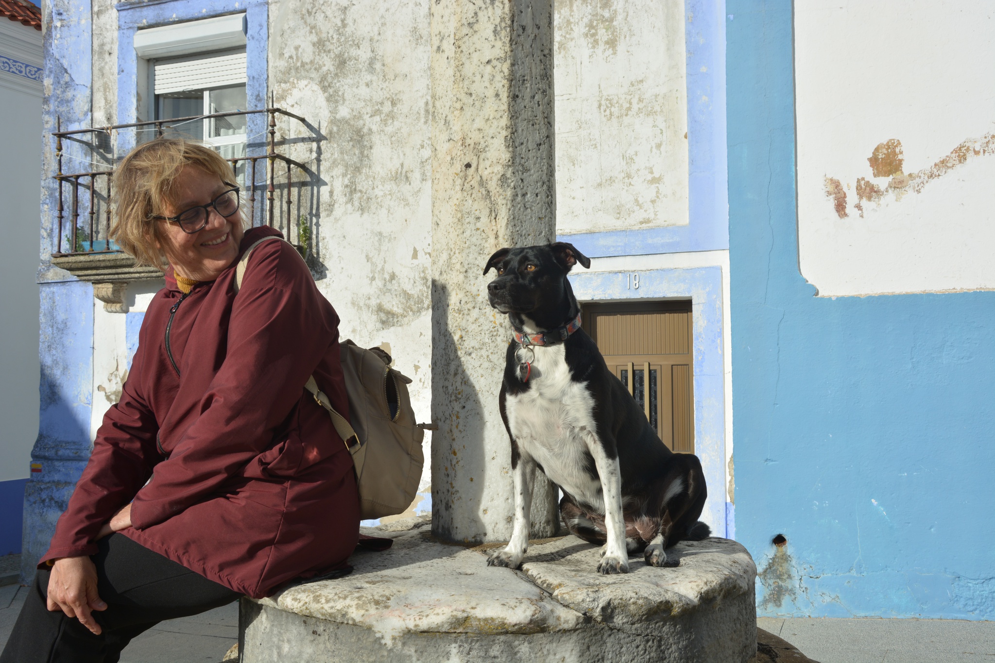 Um Cão no Meio do Caminho by Isabela Figueiredo