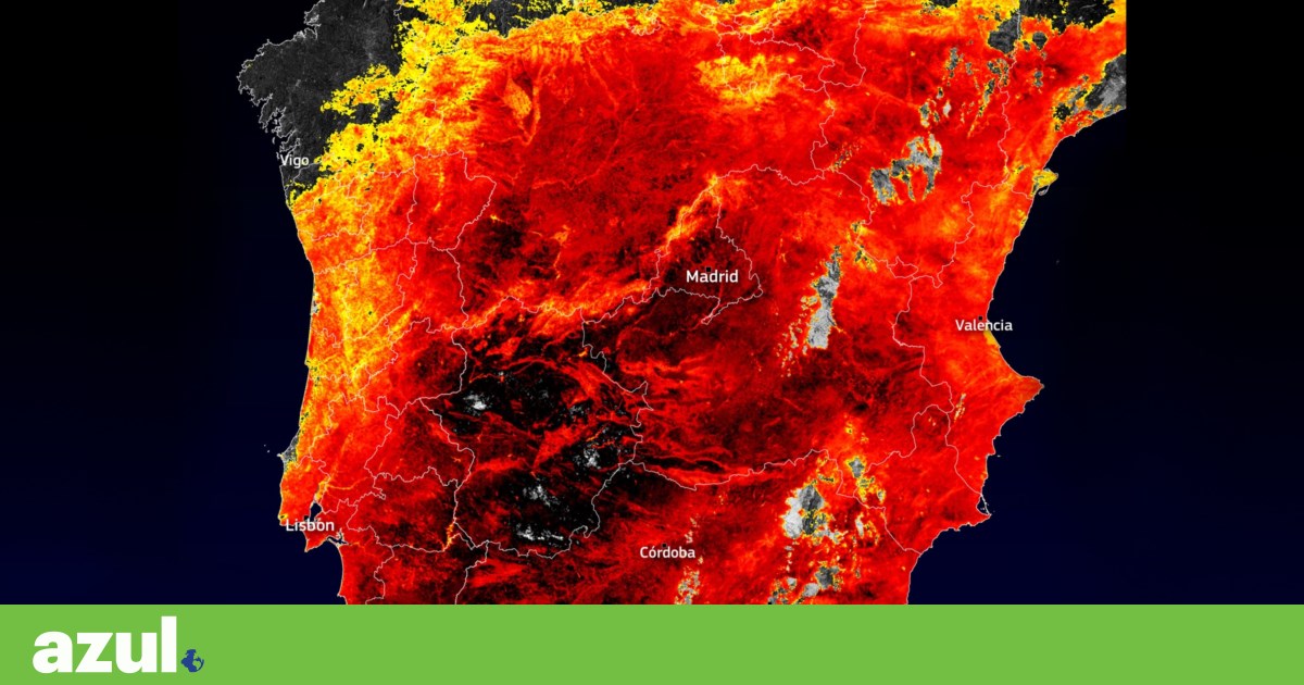Spain: soil surface temperature exceeded 60 degrees Celsius | hot wave Spain: soil surface temperature exceeded 60 degrees Celsius | hot wave
