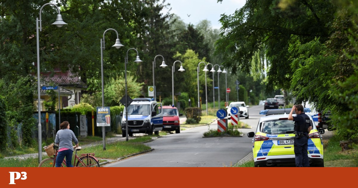 There is a lioness on the loose in Berlin. Residents are advised not to leave their homes the animals There is a lioness on the loose in Berlin. Residents are advised not to leave their homes the animals