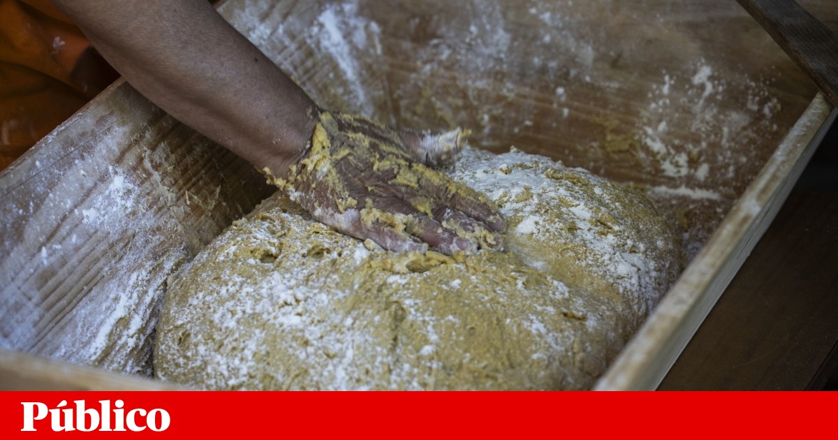 The DGS and ASAE recommend against eating cornbread in four regions | health The DGS and ASAE recommend against eating cornbread in four regions | health