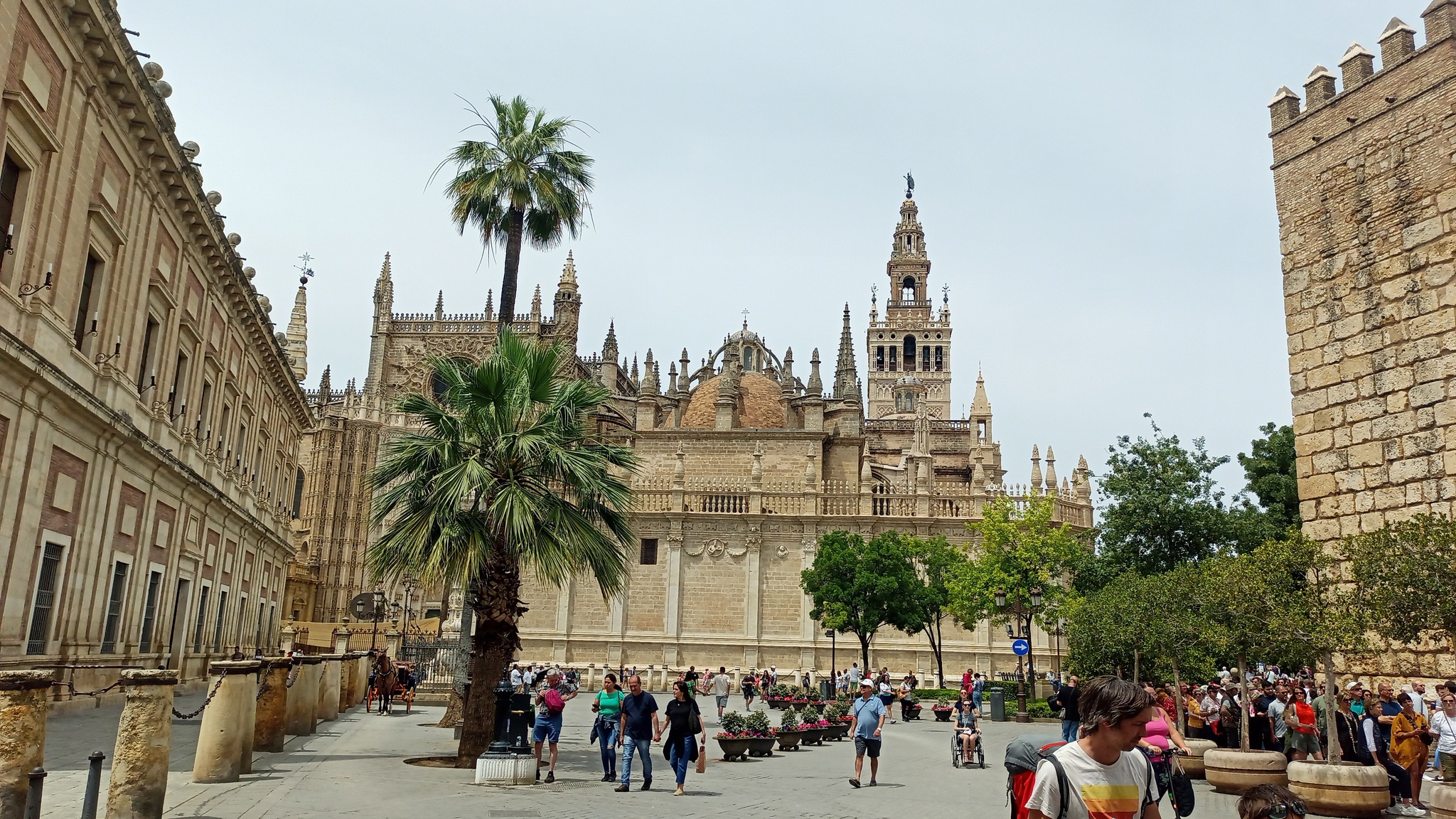 Sevilla, Andaluza |  Escape de los lectores