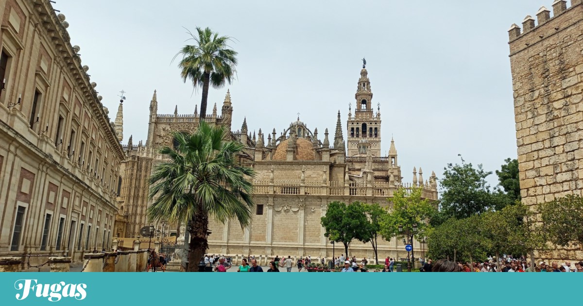 Sevilla, Andaluza |  Escape de los lectores