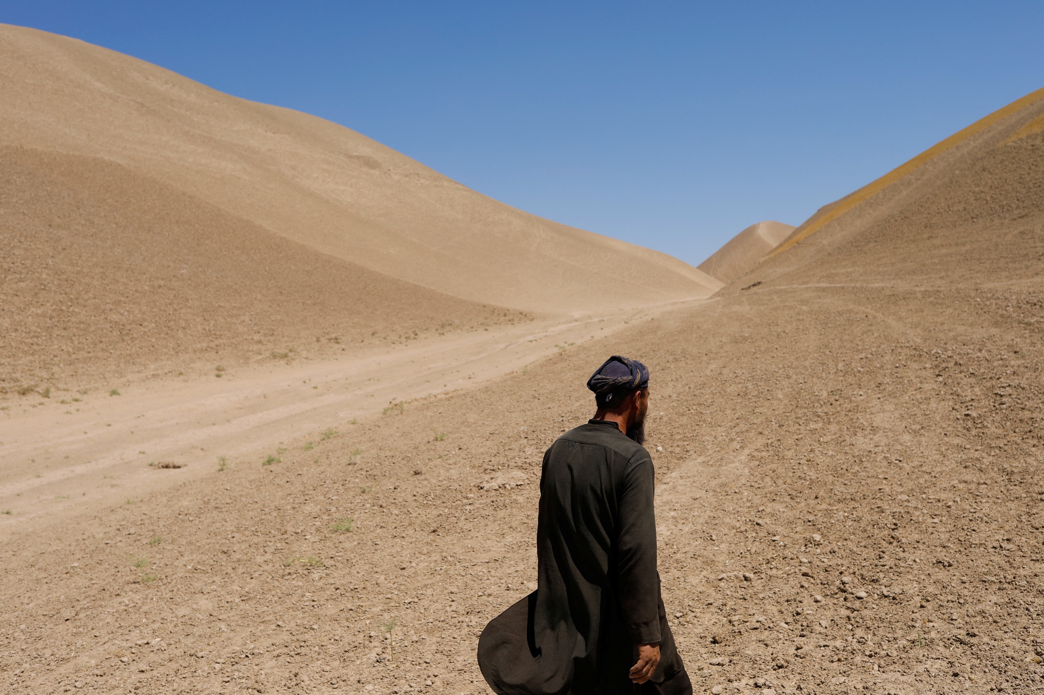 Tres años de sequía, dos años de los talibanes: grave inseguridad alimentaria en Afganistán |  Afganistán