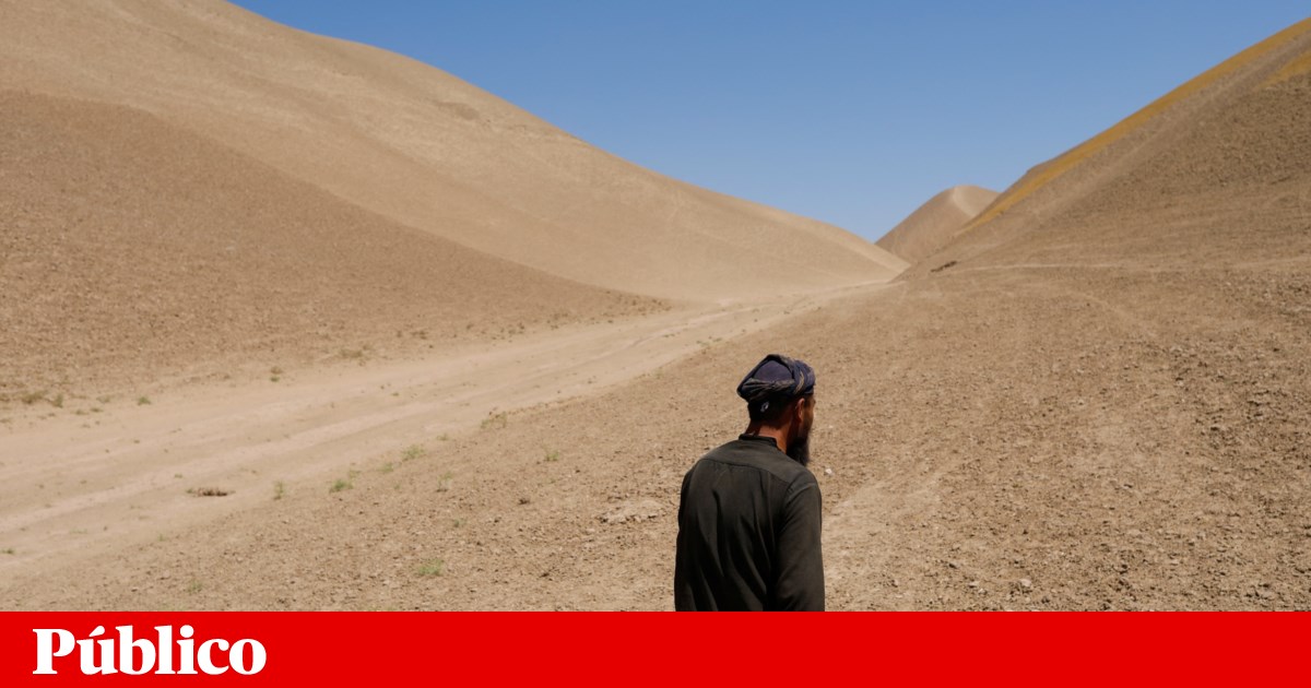 Tres años de sequía, dos años de los talibanes: grave inseguridad alimentaria en Afganistán |  Afganistán Tres años de sequía, dos años de los talibanes: grave inseguridad alimentaria en Afganistán |  Afganistán
