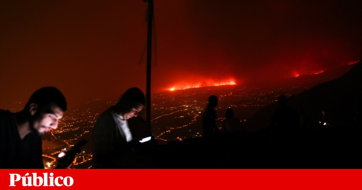 Los incendios en Tenerife tienen origen criminal, confirman las autoridades españolas |  España Los incendios en Tenerife tienen origen criminal, confirman las autoridades españolas |  España