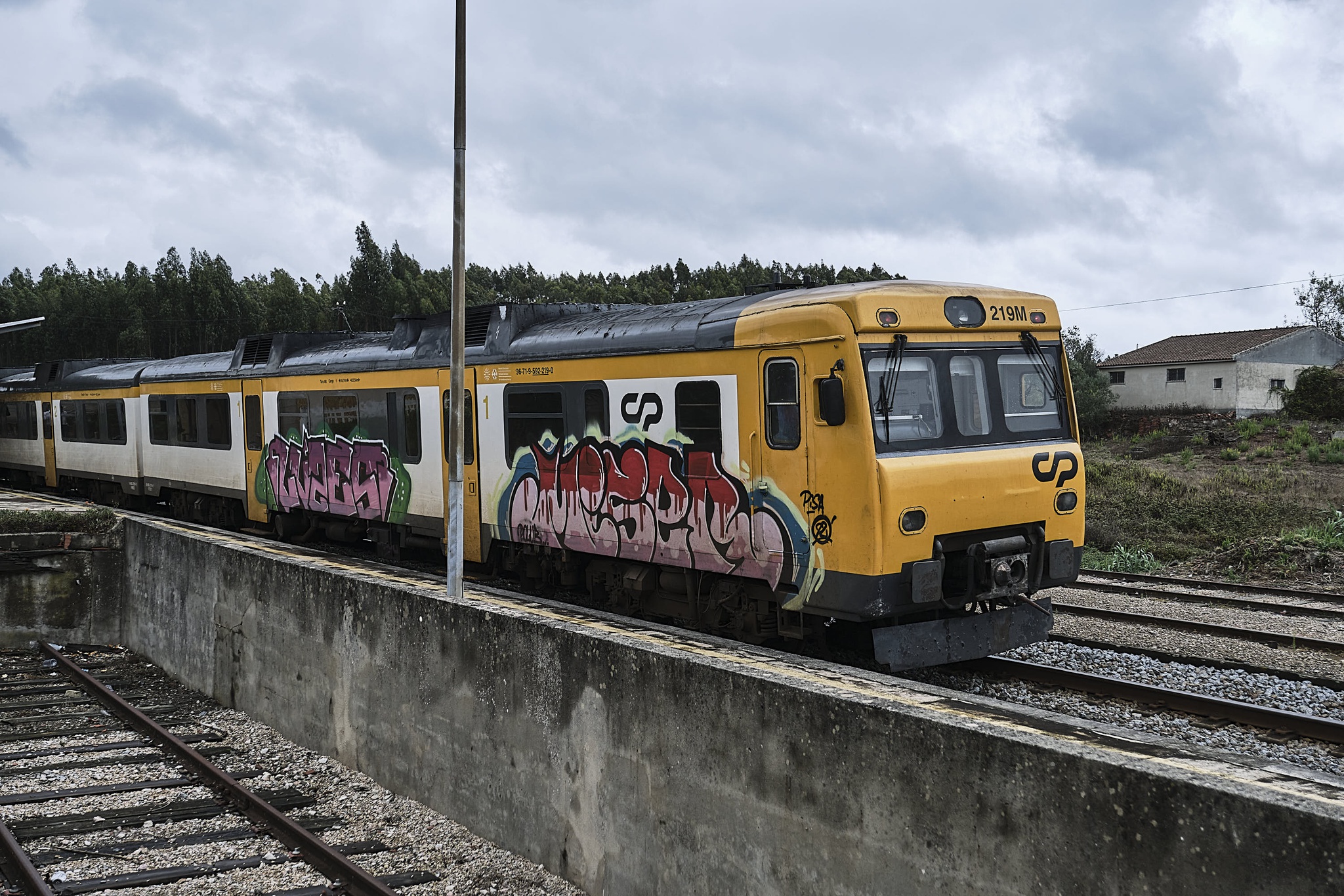 CP acusa Bordalo II de grafitar comboio em Campolide. Artista diz que estava “fora de Lisboa”