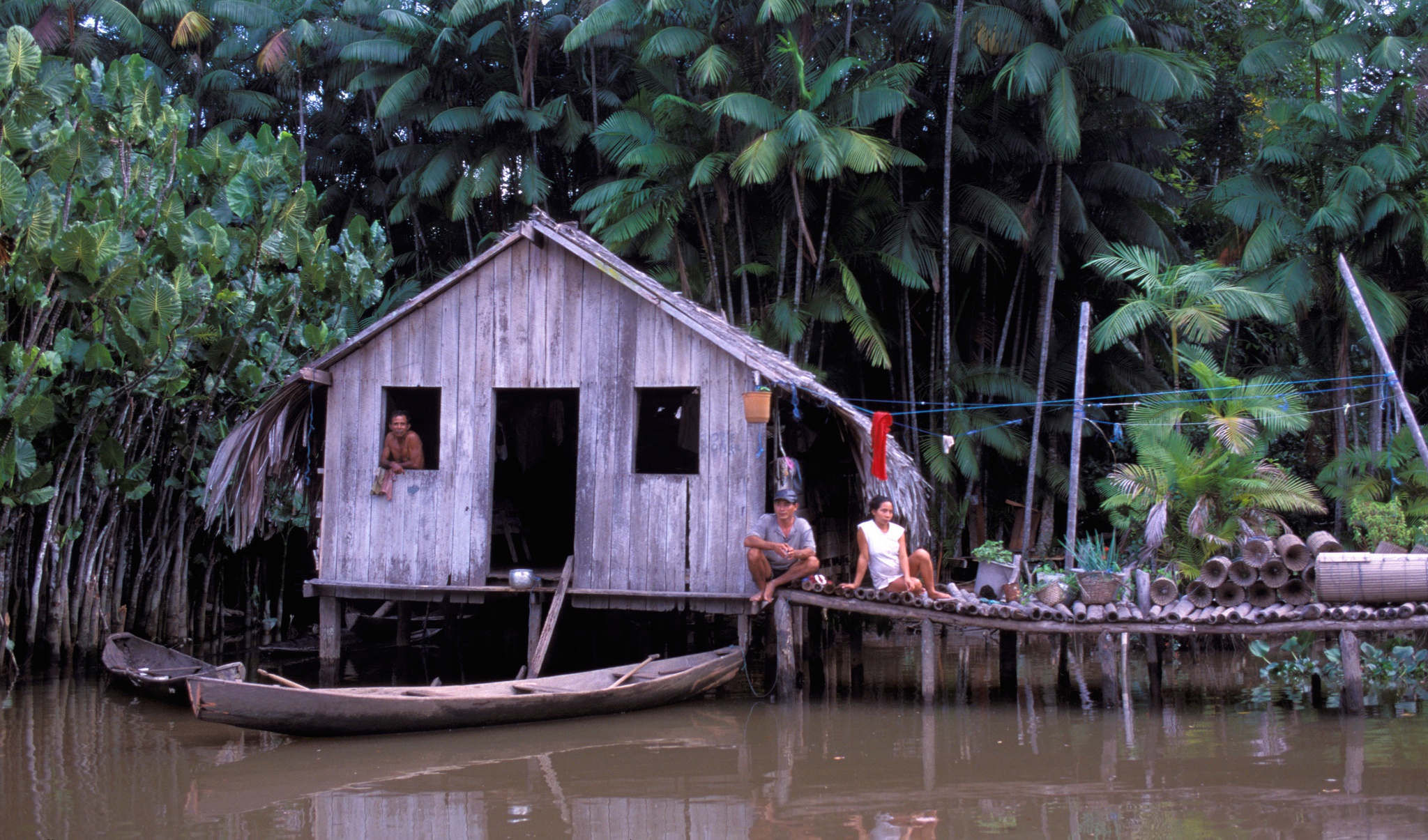 Los pobres amazónicos que sobreviven en la rica selva |  INFORME – SERIE AMAZONICA: LA LUCHA DECISIVA (III)