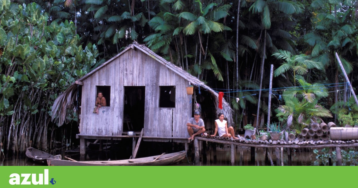 Poor Amazonians living in the rich jungle | Report – Amazon Series: Decisive Combat (III) Poor Amazonians living in the rich jungle | Report – Amazon Series: Decisive Combat (III)