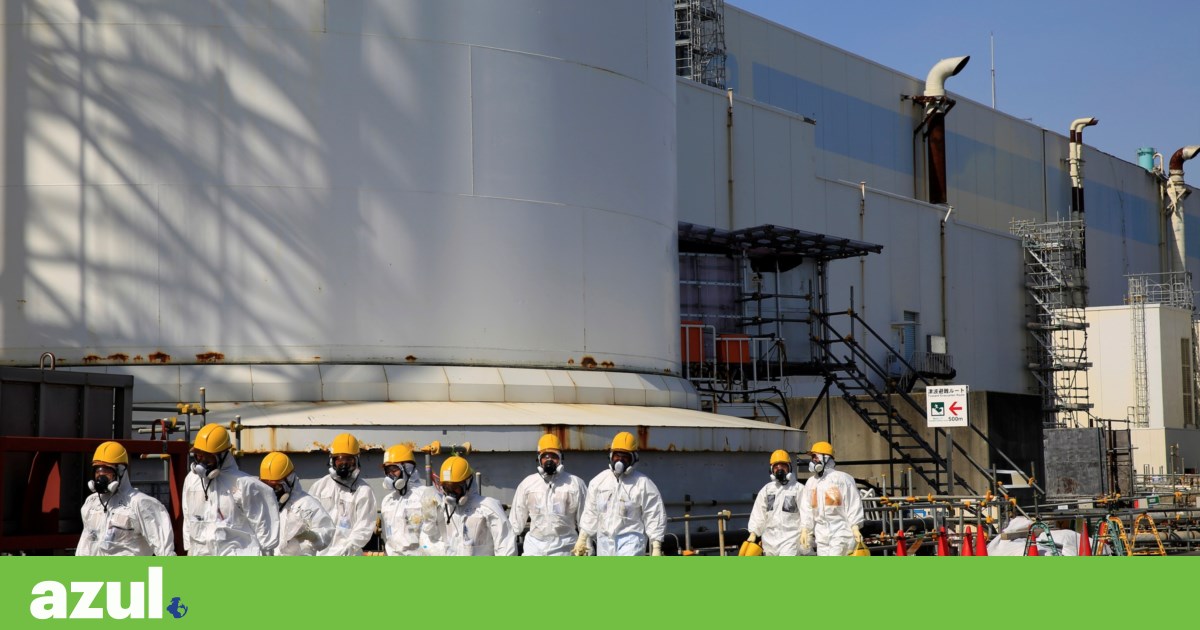 Empleado mide niveles de radiación en mariscos