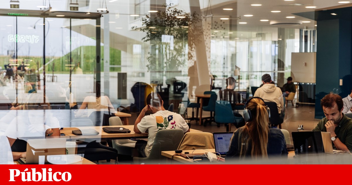 Hay 19 mil brasileños en la educación superior portuguesa y “hay más espacio”, dice ministro |  Enseñanza superior Hay 19 mil brasileños en la educación superior portuguesa y “hay más espacio”, dice ministro |  Enseñanza superior