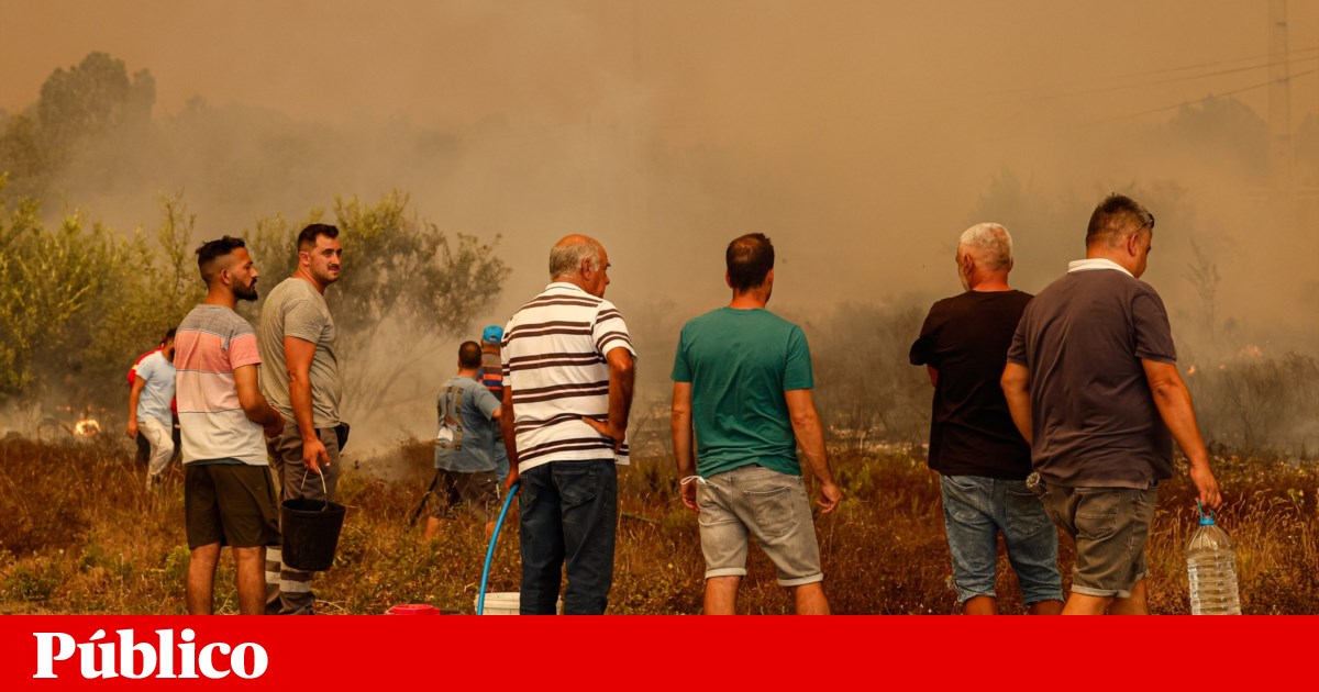 A study conducted by the University of Évora concludes that fires affect public health in Portugal | health A study conducted by the University of Évora concludes that fires affect public health in Portugal | health