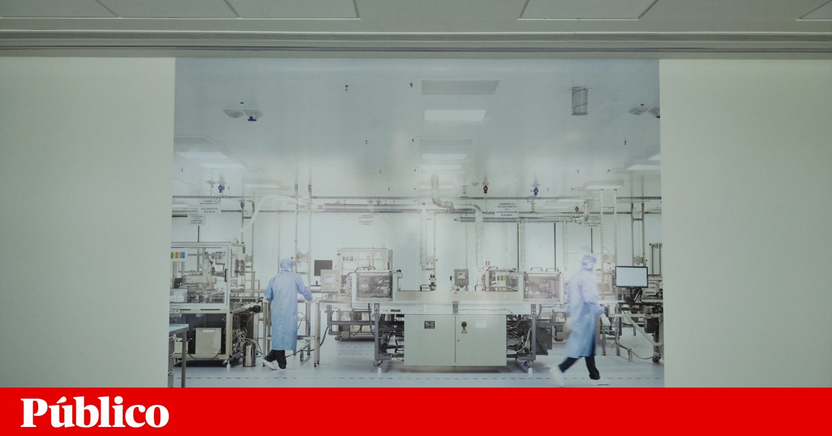 Champalimaud-Stiftung erhält 50 Millionen Euro für Bauchspeicheldrüsenkrebsforschung | Wissenschaftliche Untersuchung Champalimaud-Stiftung erhält 50 Millionen Euro für Bauchspeicheldrüsenkrebsforschung | Wissenschaftliche Untersuchung