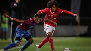 Champions: Sp. Braga decidido a não oscilar em jogo de tudo ou nada, Futebol internacional