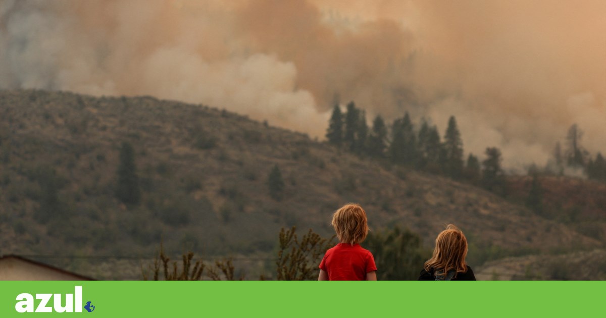 www.publico.pt