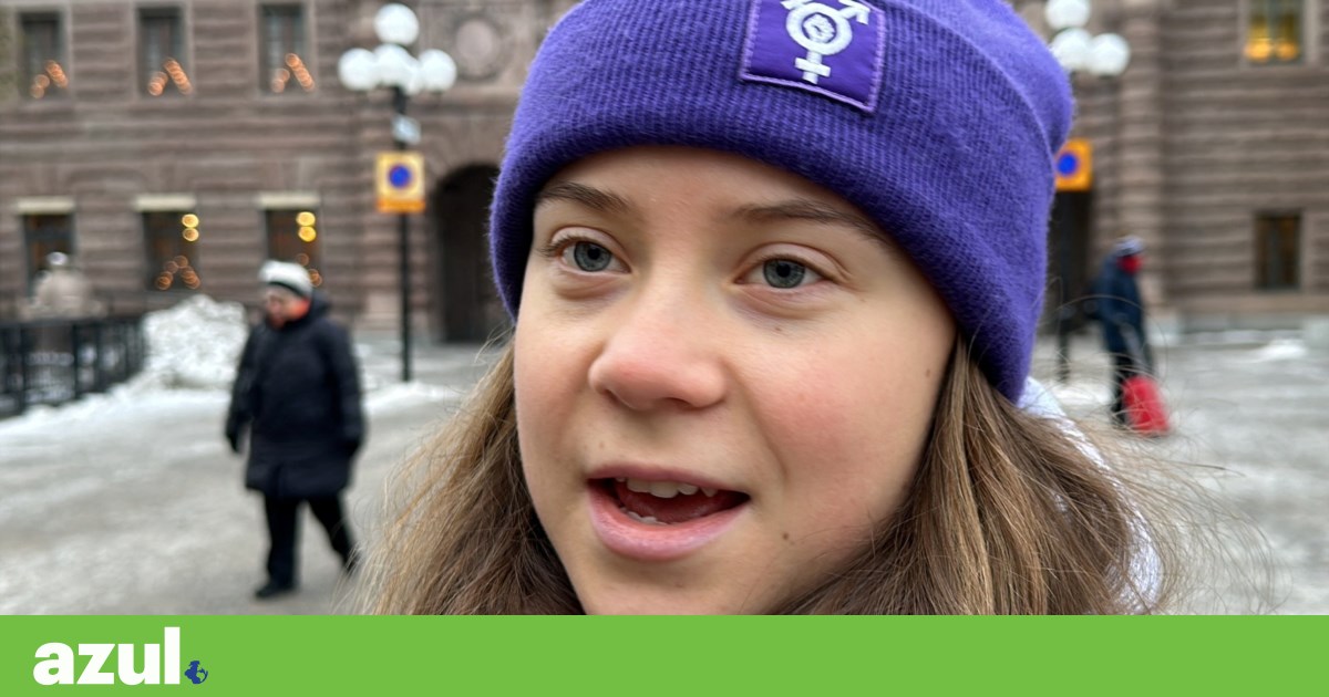 Greta Thunberg: el acuerdo COP28 es una “puñalada por la espalda” |  Activismo climático