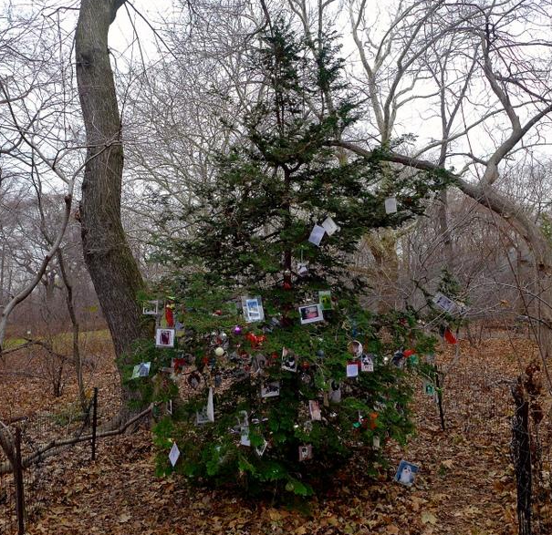 Lugares secretos do Central Park