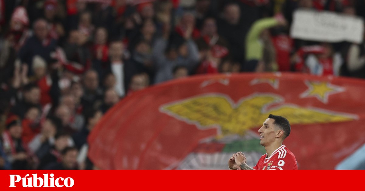 A fan was stabbed during a match between Benfica and AVS | soccer A fan was stabbed during a match between Benfica and AVS | soccer