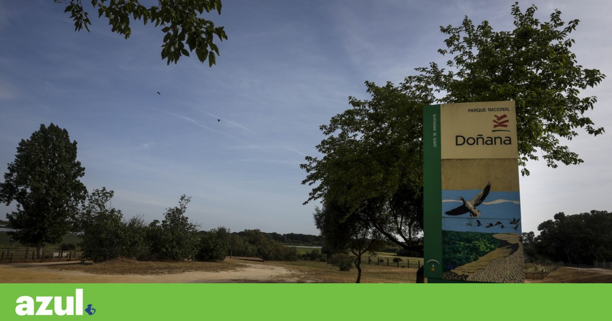 Donna ha sido eliminada de la «lista verde» de la Unión para la Conservación de la Naturaleza.  España