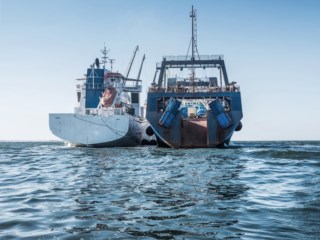 Nature revela que 75% dos navios de pesca industrial escapam a rastreio, Pescas