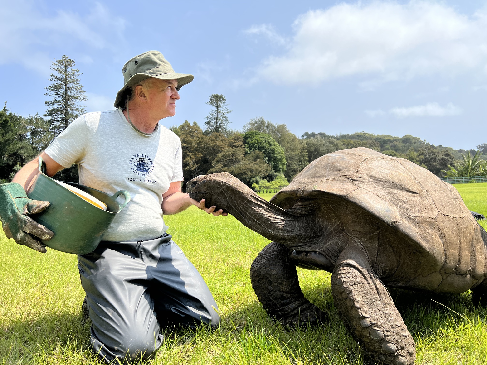 O animal terrestre mais velho do mundo fez 191 anos (mais coisa menos  coisa) | Animais | PÚBLICO