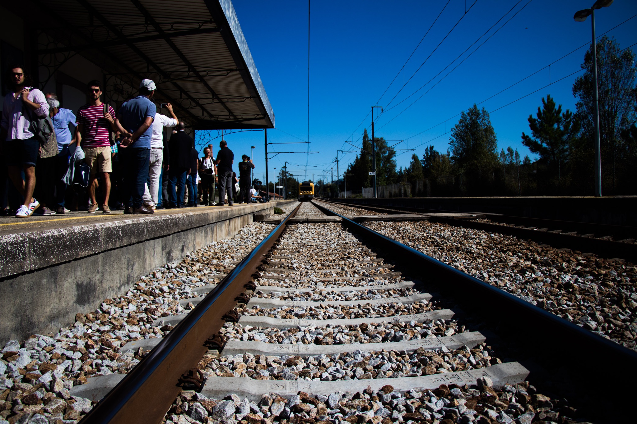 CP tem a maior diferença entre tarifas promocionais e bilhetes comprados na hora