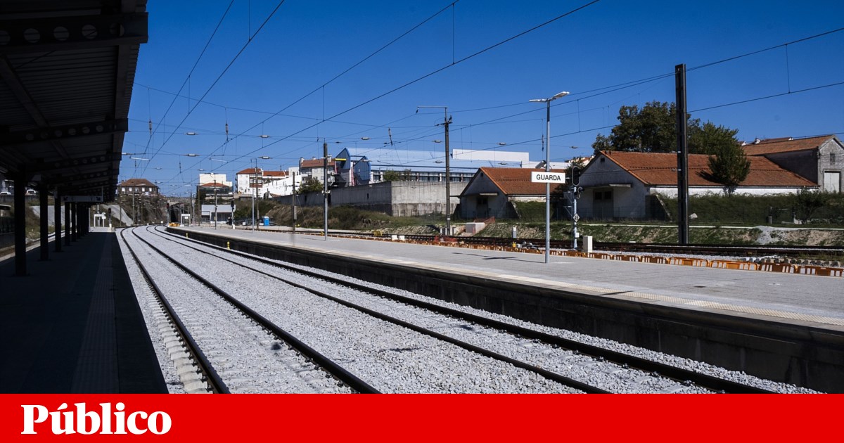 Más de 15 mil personas piden en Salamanca tren rápido con Portugal |  Transporte