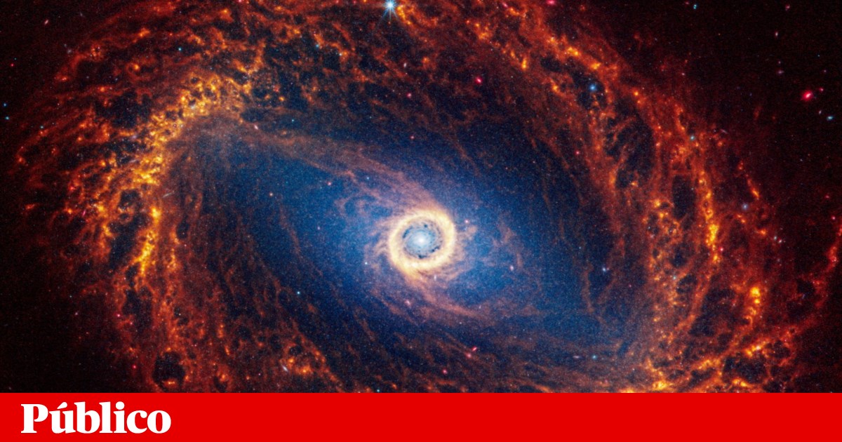 El telescopio espacial James Webb “atrapa” 19 galaxias espirales |  Universo El telescopio espacial James Webb “atrapa” 19 galaxias espirales |  Universo