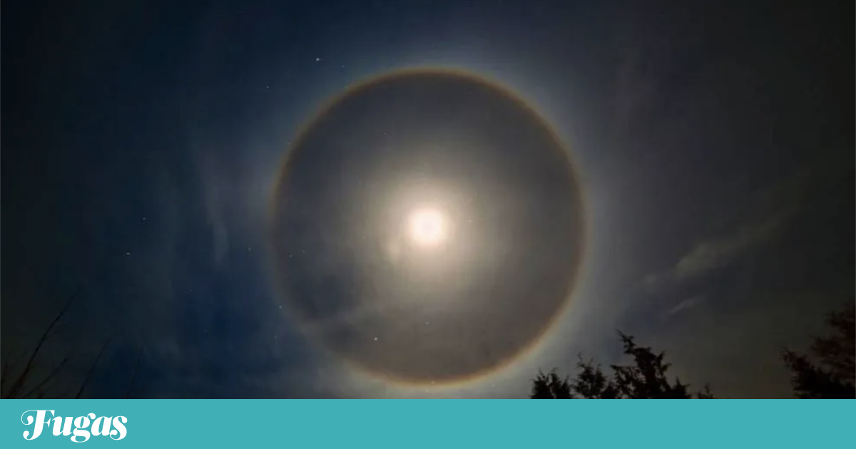 A walk through the Serra de Sintra lit by a snowy moon |  Tours A walk through the Serra de Sintra lit by a snowy moon |  Tours