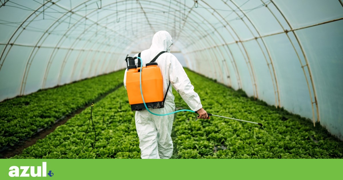 Brüssel zieht sich vom Vorschlag zum nachhaltigen Einsatz von Pestiziden zurück  Landwirtschaft
