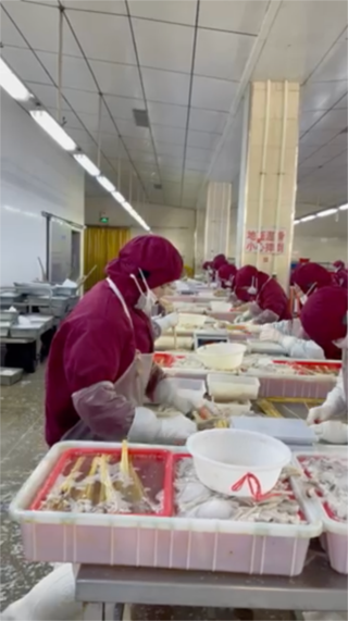 Há trabalho forçado nas fábricas que fornecem a chinesa Shein? A retalhista  online não responde, Moda