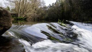 PP paulo pimenta - 28 Fevereiro 2024 - PORTUGAL - Passeio pelo Rio Neiva, na foto em Minante, concelho de Esposende