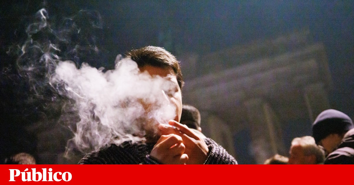 Die Deutschen feiern die Legalisierung des Besitzes und Anbaus von Marihuana | Drogen Die Deutschen feiern die Legalisierung des Besitzes und Anbaus von Marihuana | Drogen