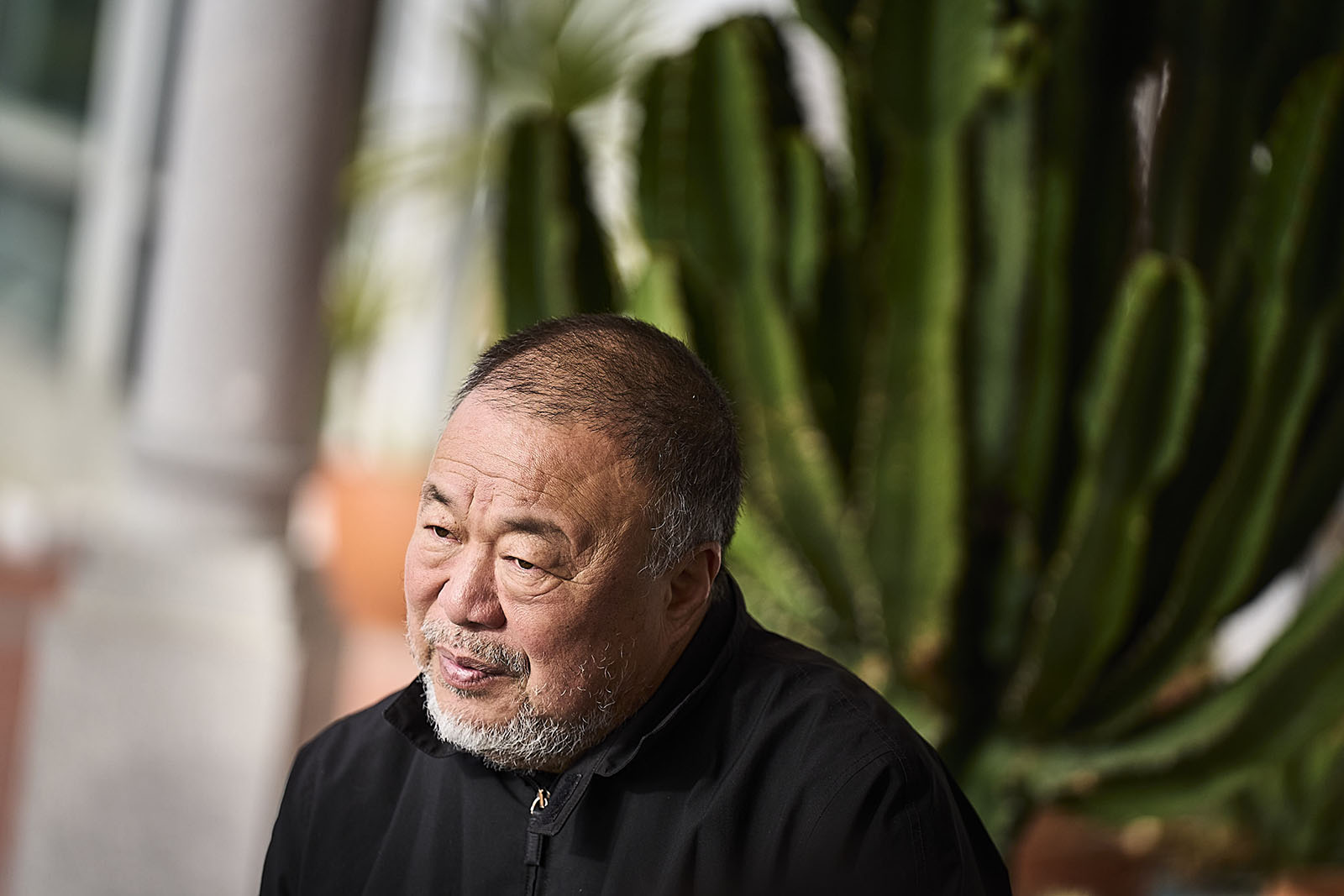 Ai Weiwei: “O activismo sem liberdade de expressão é tipicamente inepto” - Público