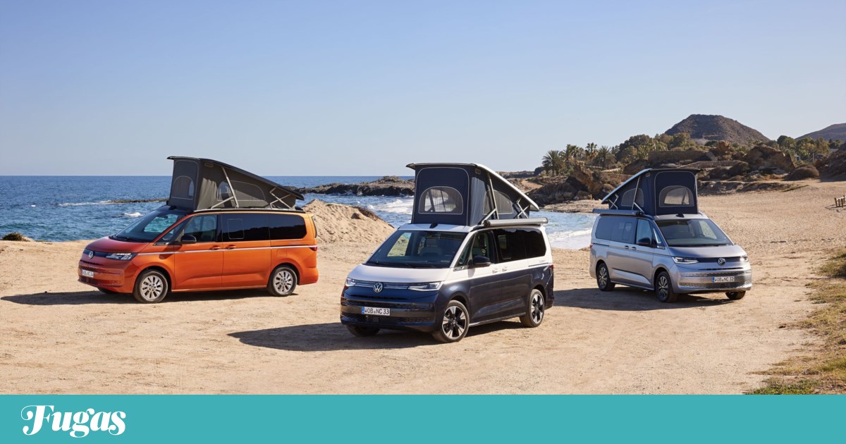Volkswagen California gains more space and hybrid mechanics |  Engines – new