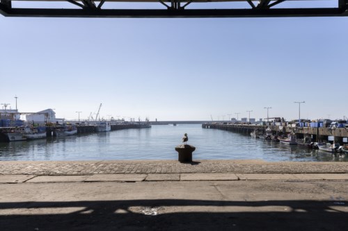 Rumo a um Ordenamento do Espaço Marítimo mais sustentável e eficaz em Portugal