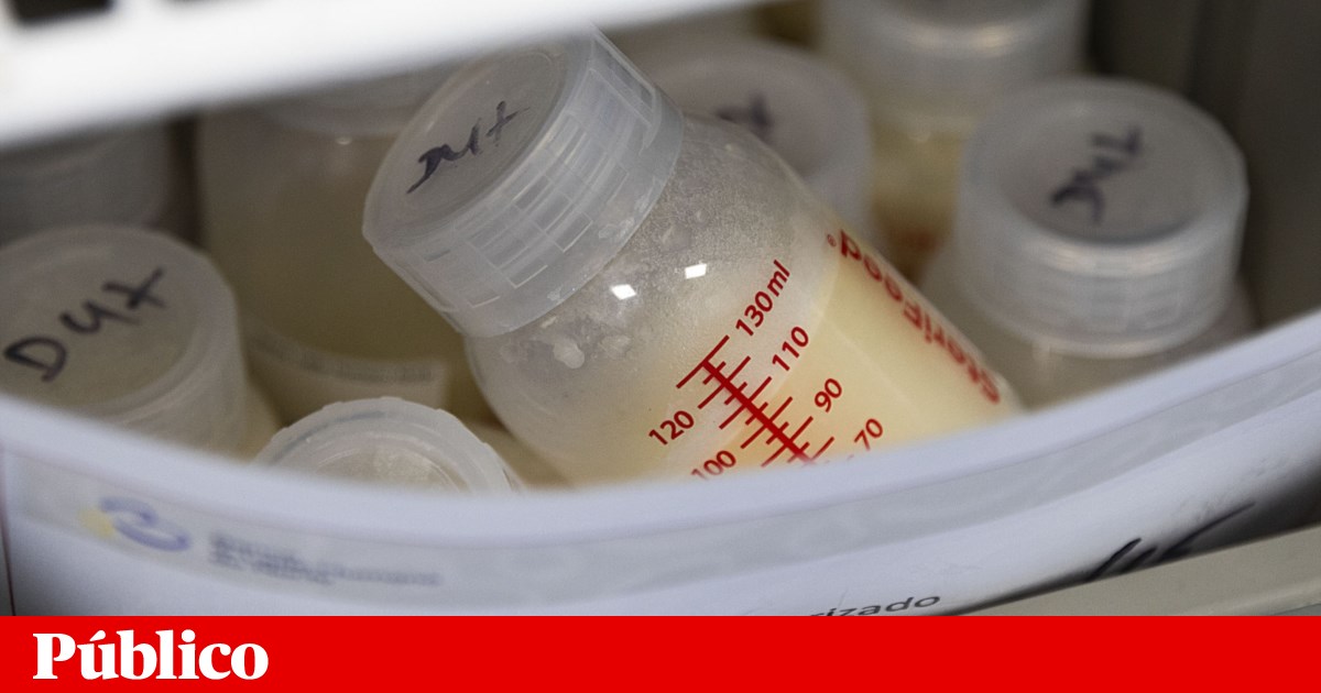 The Alfredo da Costa Human Milk Bank has fed 3,500 premature babies in 15 years | health The Alfredo da Costa Human Milk Bank has fed 3,500 premature babies in 15 years | health
