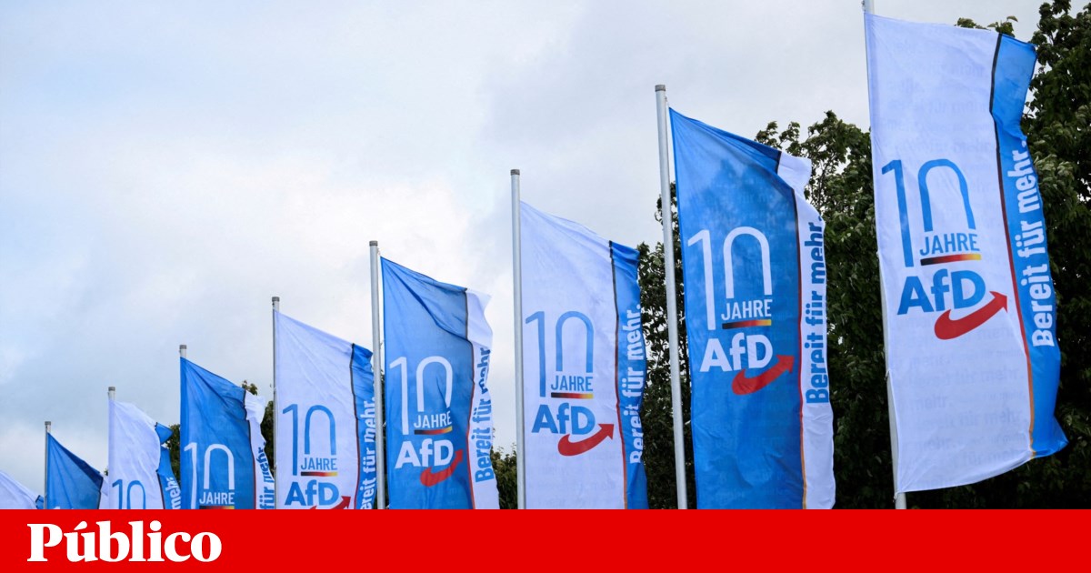 Político de AfD presuntamente herido en ataque en Mannheim |  Alemania Político de AfD presuntamente herido en ataque en Mannheim |  Alemania