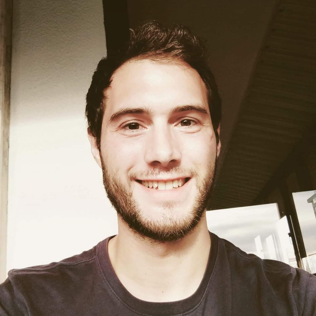 Henrique Manuel da Silva Brito 