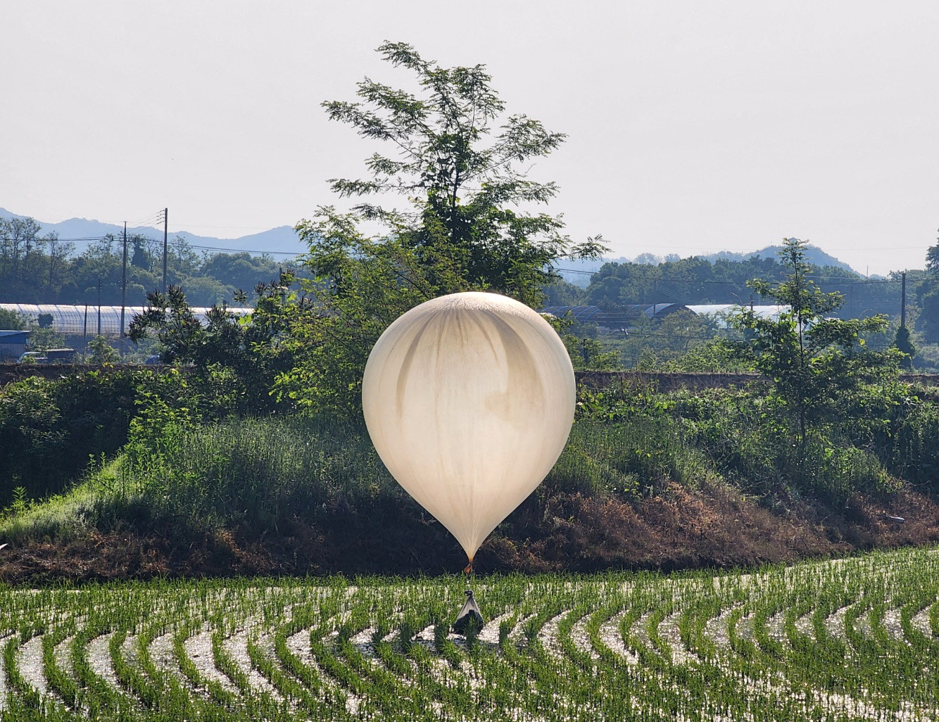 Pyongyang envoie 300 autres ballons poubelles en Corée du Sud |  Corée du Nord