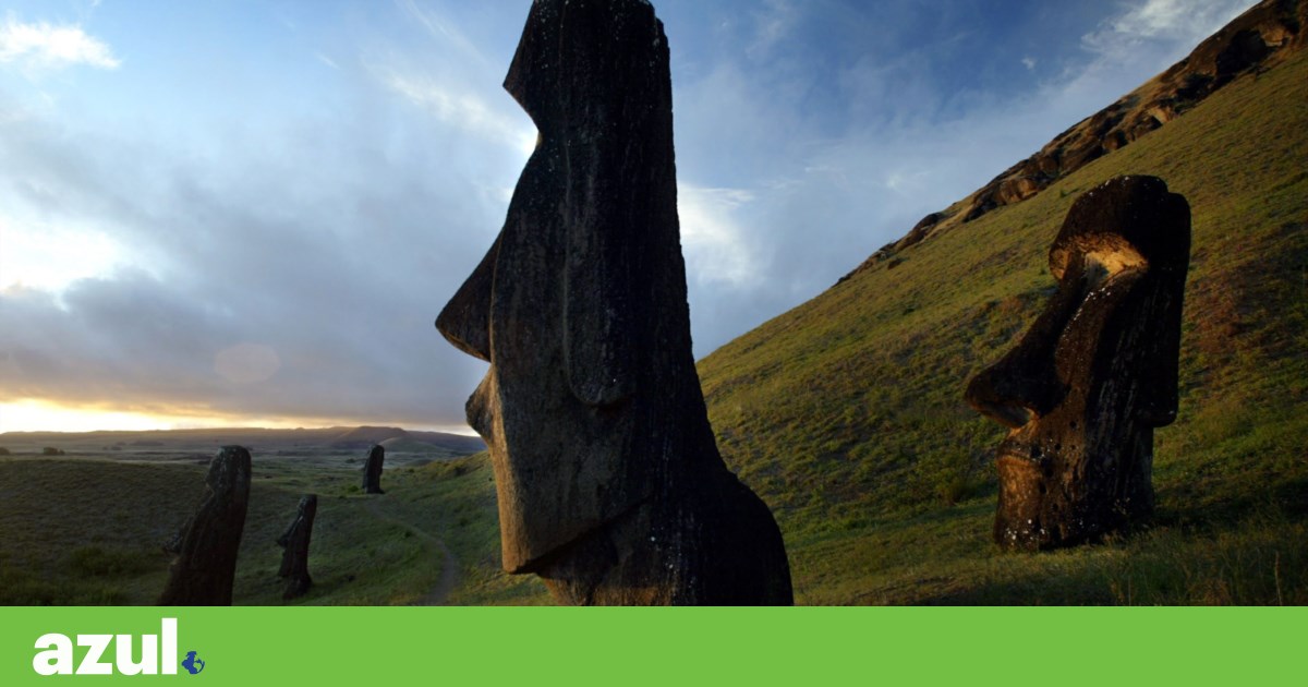 Después de todo, la historia del colapso de la Isla de Pascua no está confirmada |  Sostenibilidad Después de todo, la historia del colapso de la Isla de Pascua no está confirmada |  Sostenibilidad