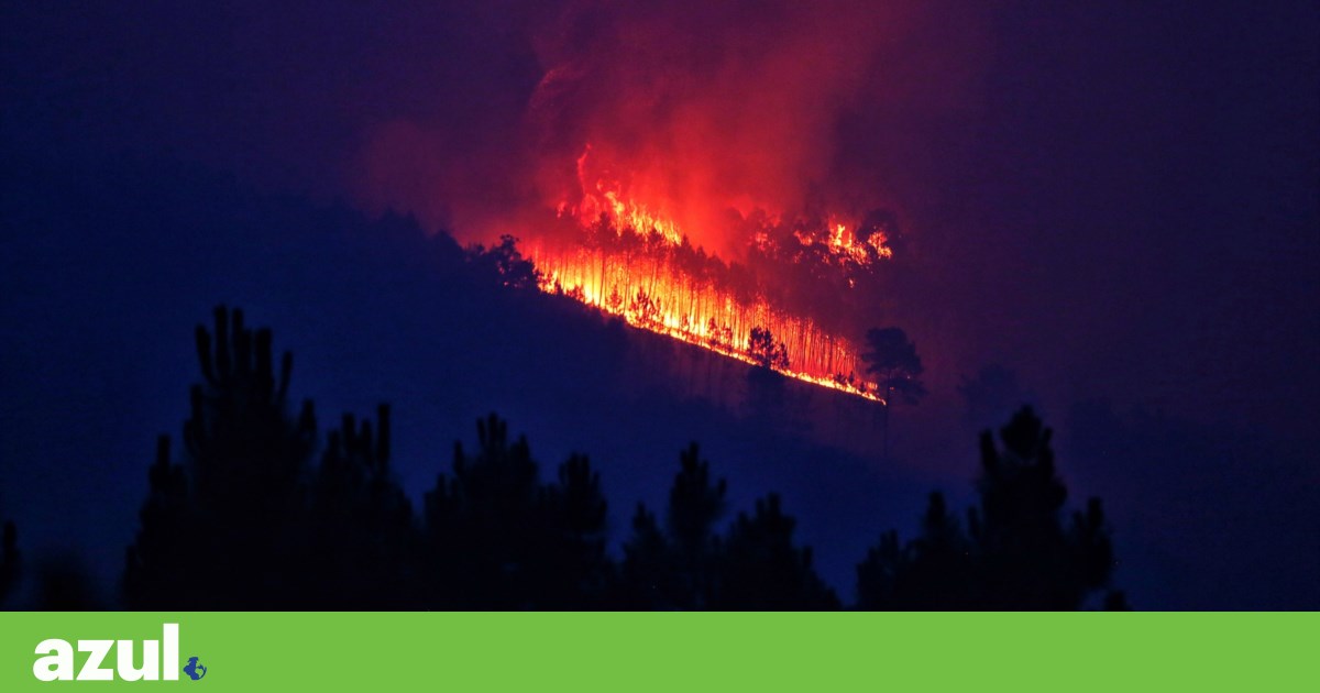 The frequency of large wildfires has doubled over the past 20 years Forests The frequency of large wildfires has doubled over the past 20 years Forests