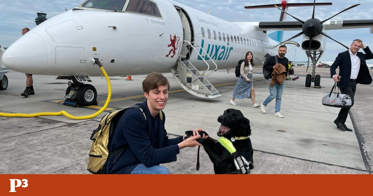 United Kingdom bars Paralympic athlete from flying with guide dog | UK United Kingdom bars Paralympic athlete from flying with guide dog | UK