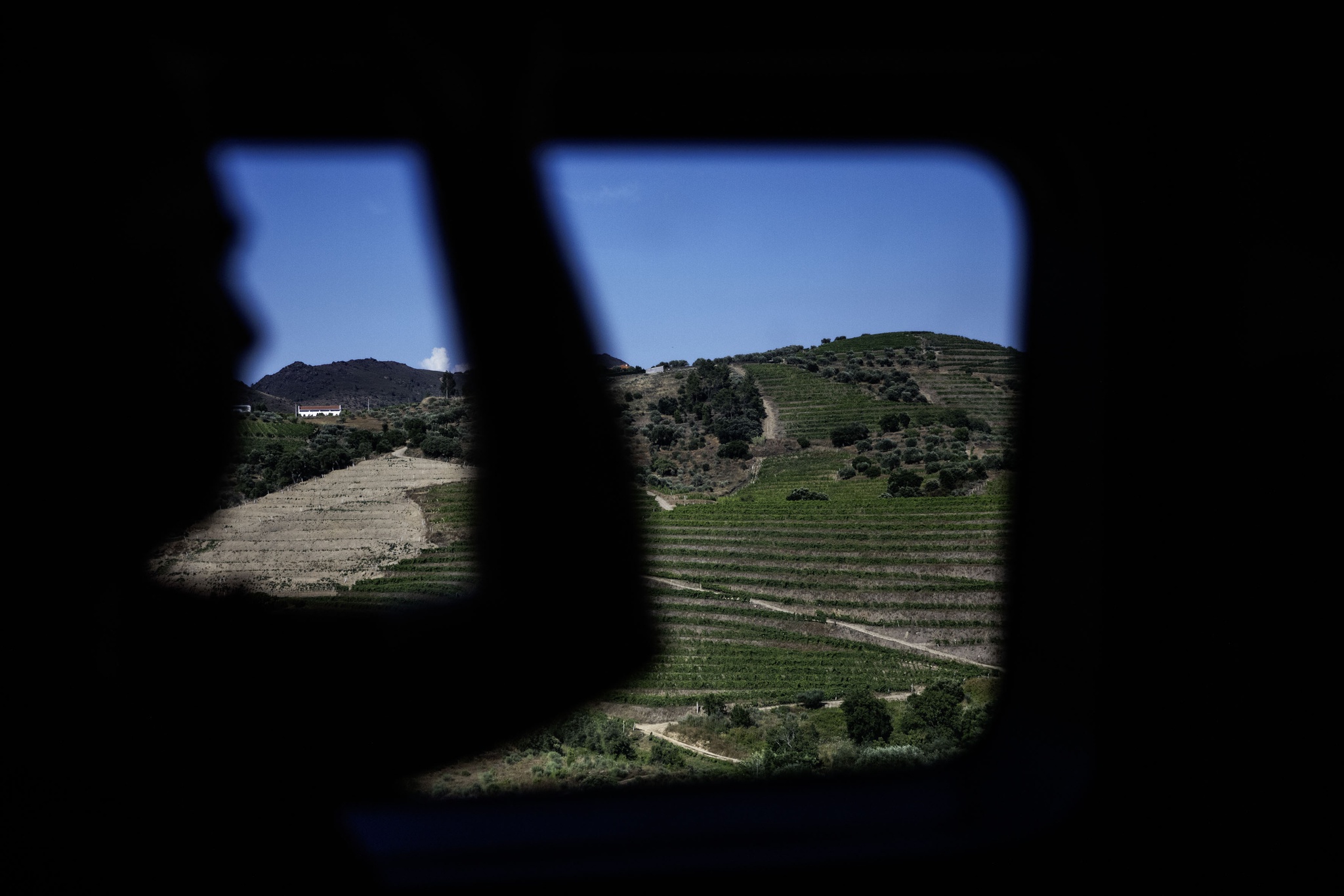 MURÇA QUINTA DO CABECEIRO