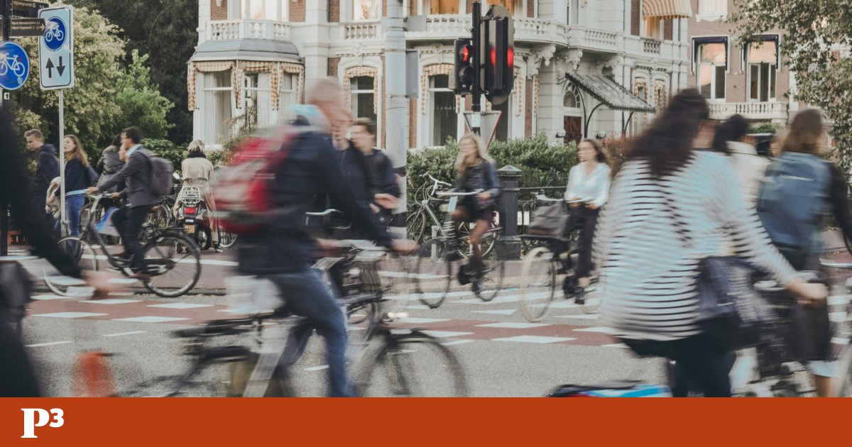 The Portuguese already immigrate to the Netherlands in greater numbers than to the United Kingdom Settlement The Portuguese already immigrate to the Netherlands in greater numbers than to the United Kingdom Settlement