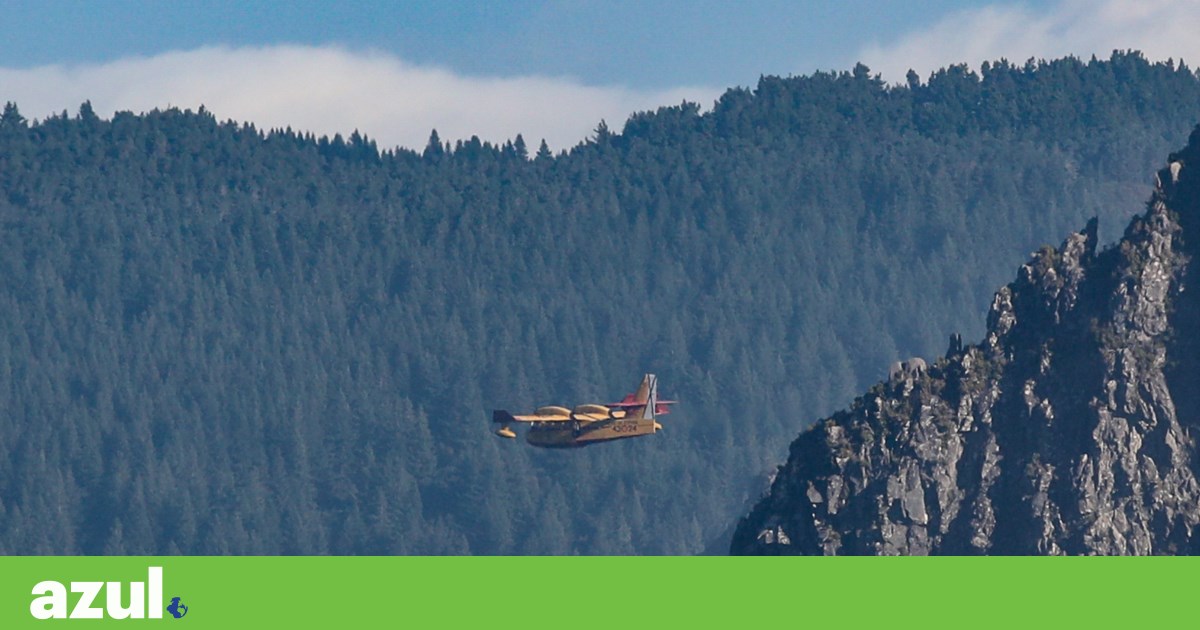 The Bureaucratic Burden: Key Reasons Behind Madeira's Wildfire Struggles