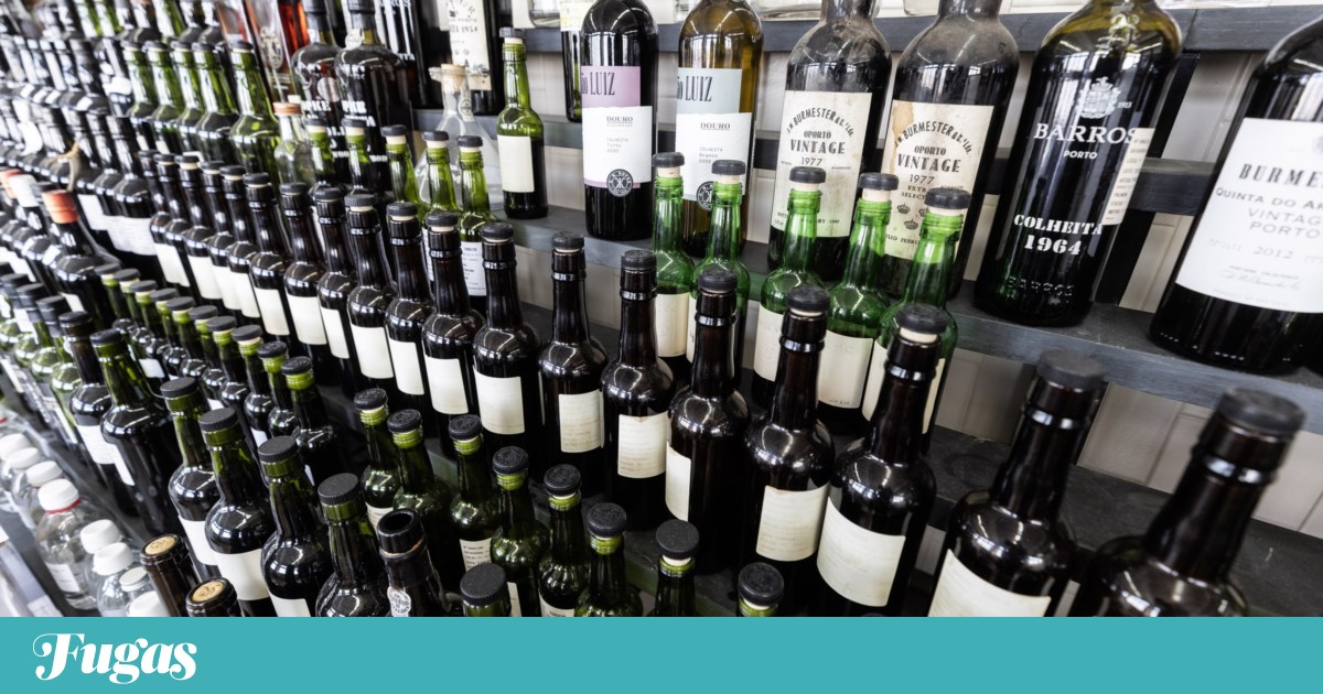 Douro's Wine Revival: A Tourist Tax for Port Wine and Sustainable Solutions