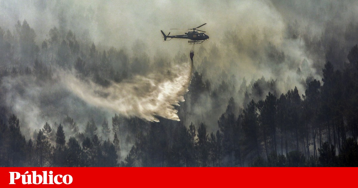 Emergency Helicopter Crash in Douro River: Pilot Rescued, Five Missing
