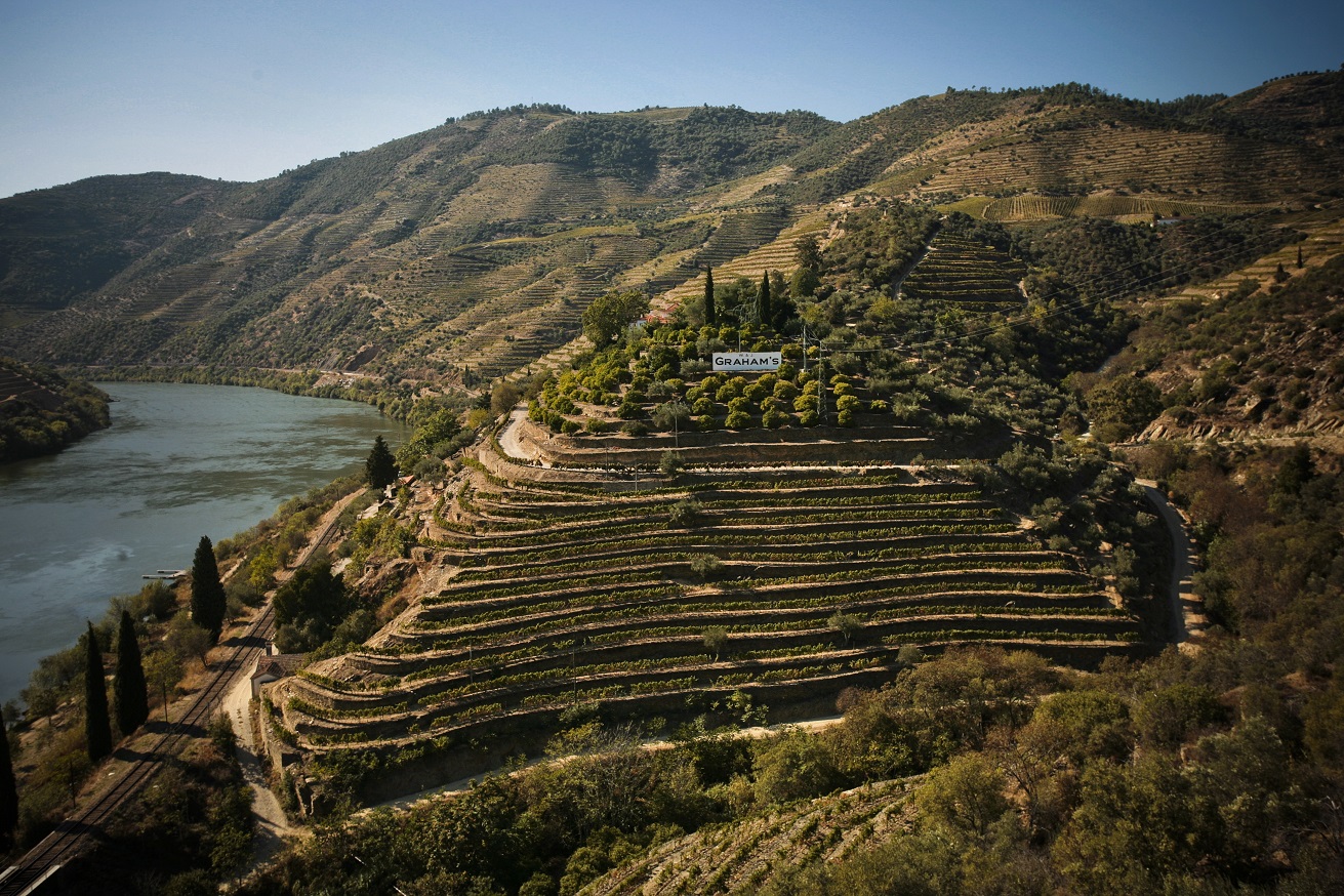 terroir,vinhos,douro,fugas,porto,